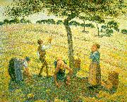 Camille Pissaro Apple Picking at Eragny sur Epte china oil painting reproduction